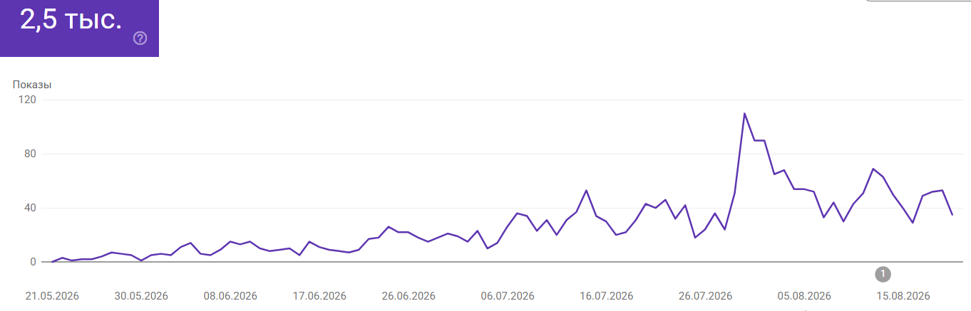 Google Search Console 2.5K Impressions Growth Proof for US Renovation Contractor